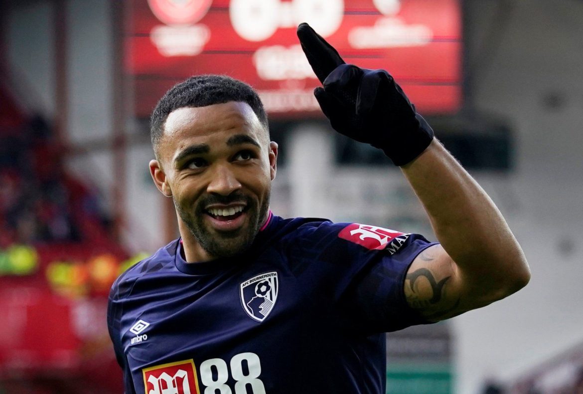 Newcastle United: Michael Brown hails Callum Wilson signing